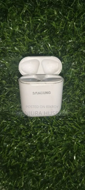 Samsung Earbuds
