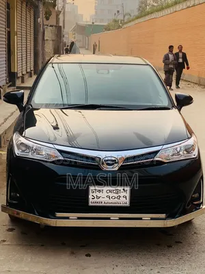 Toyota Axio 2018 Black