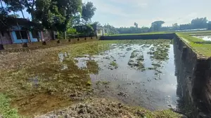 রাস্তার সাথে ১২ শতাংশ জমি বিক্রি হবে