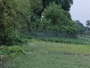 2 Decimal Land For Sale
