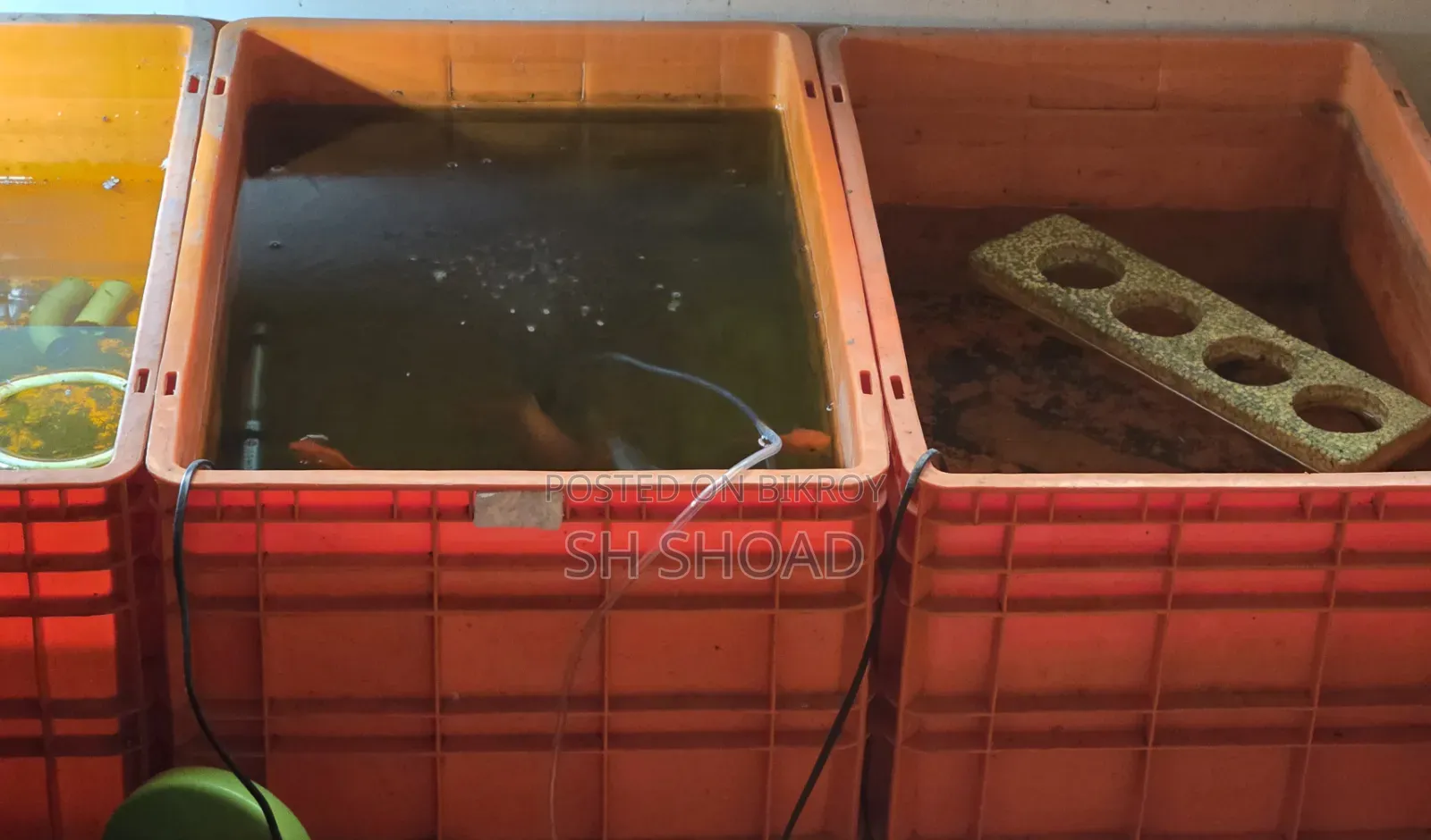 Fish Crate