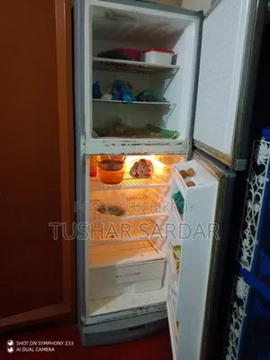 Walton 20 CFT (385l) Fridge – Good Condition, Best Price