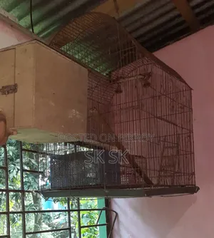 বড় সাইজের খাচা