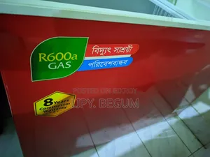 Singer Deep Fridge