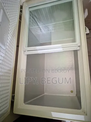 Singer Deep Fridge