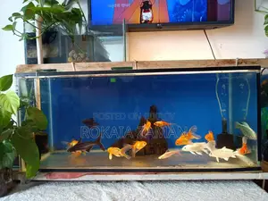 একুরিয়াম (Aquarium)