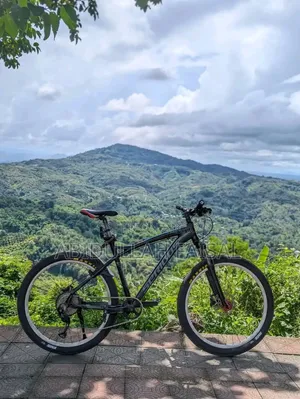 Contact us if you are looking for a high-quality custom cycle and are a real buyer