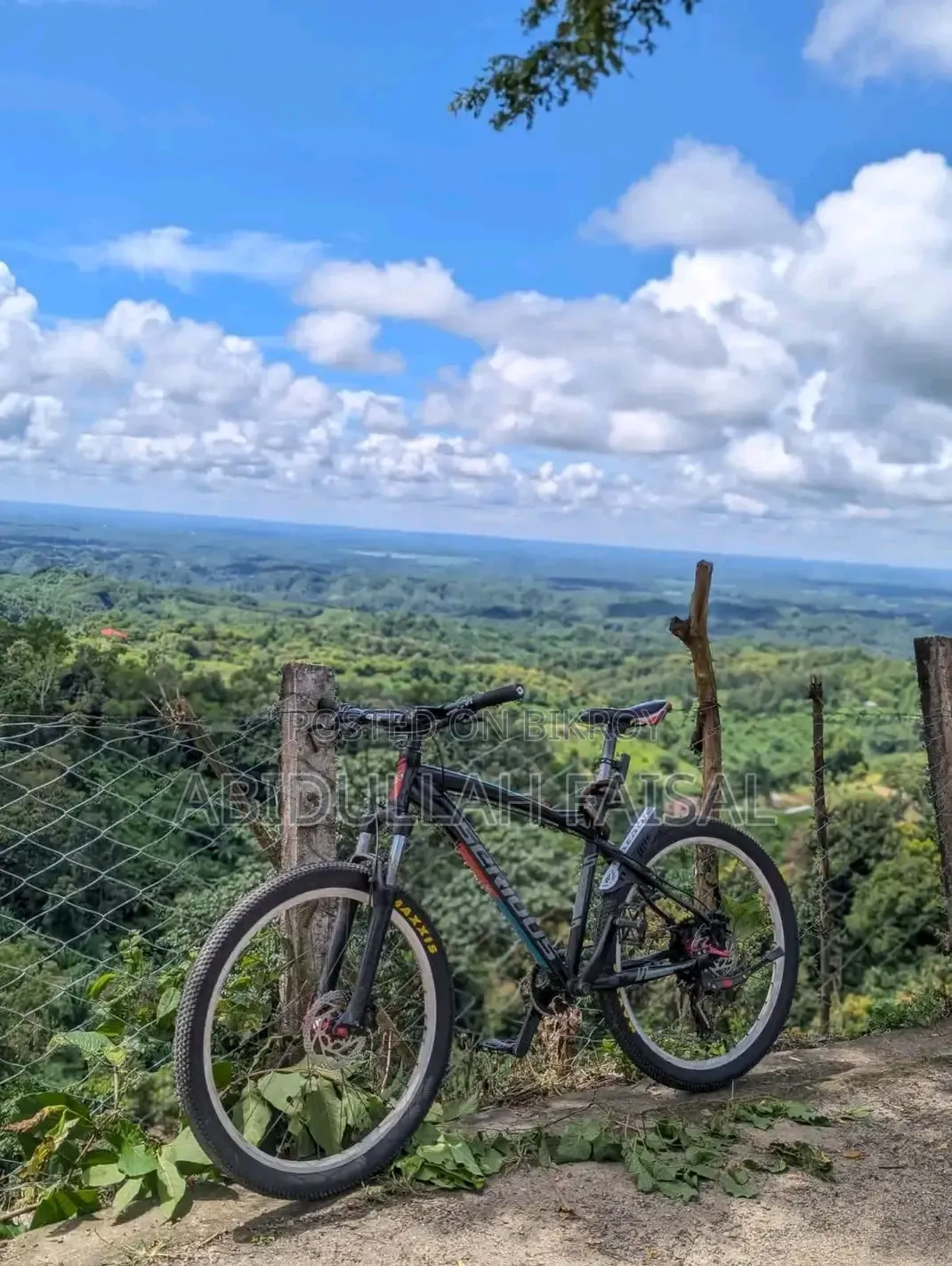 Contact us if you are looking for a high-quality custom cycle and are a real buyer