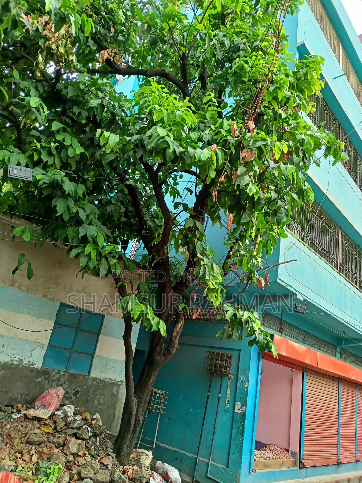 14 Bedroom House in Shampur, Jurain Demra for Sale