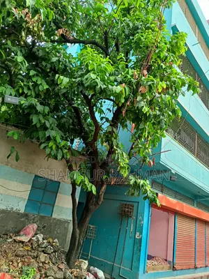 14 Bedroom House in Shampur, Jurain Demra for Sale