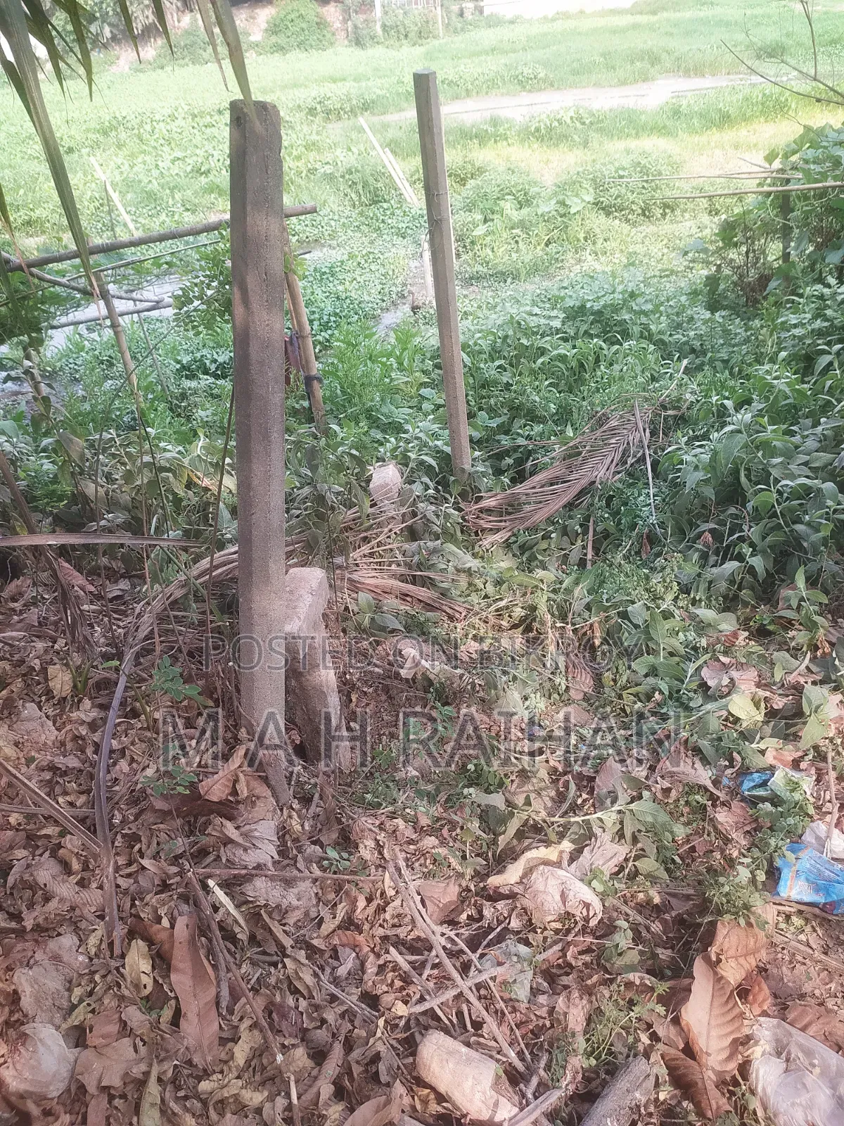 ৮ বিঘা জমি বিক্রি