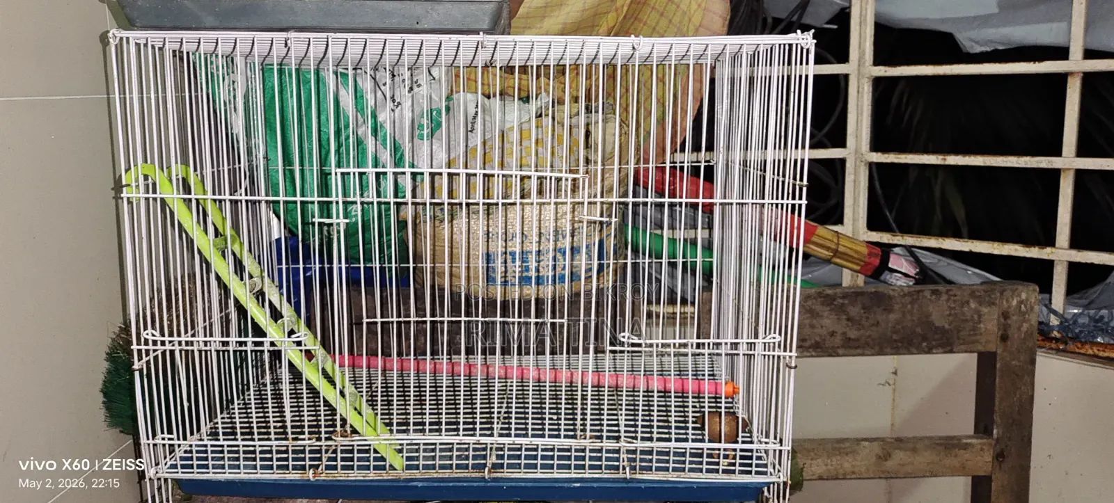 Parrot's Case