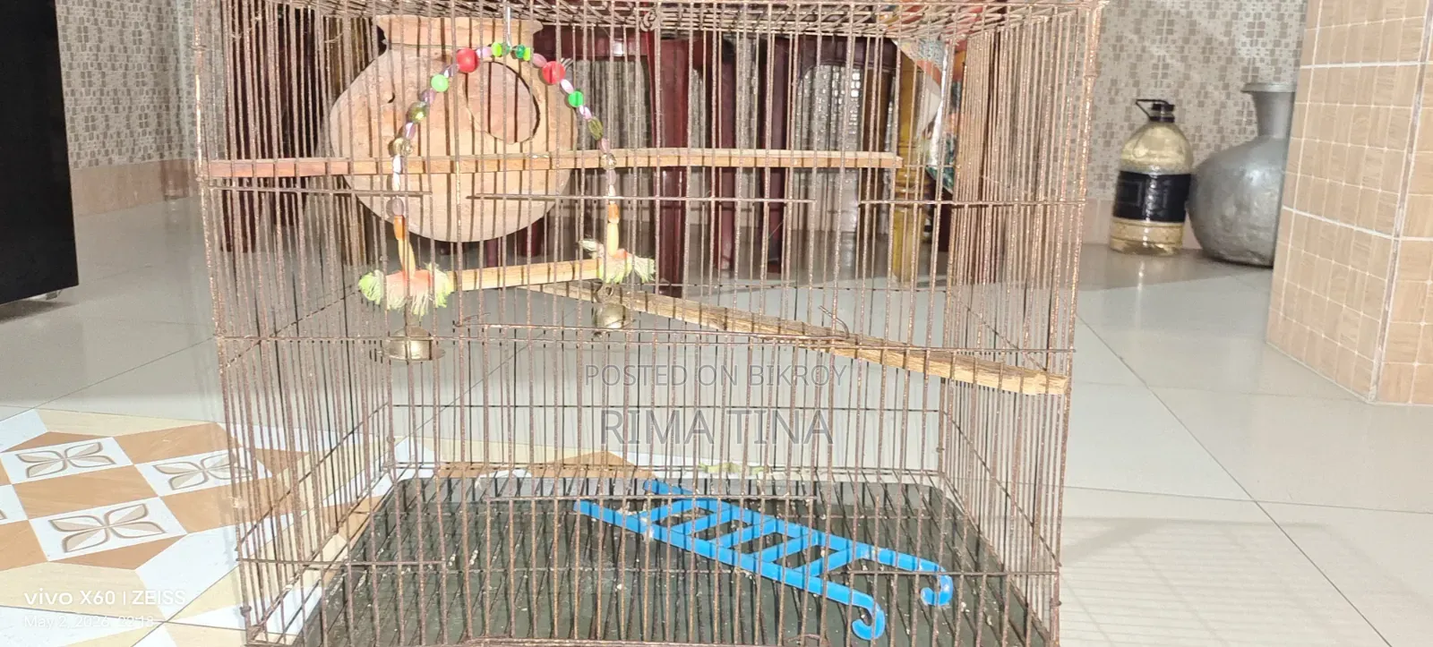 Parrot's Case