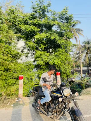 Bajaj Avenger 150 Street 2017 Blue