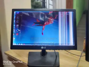 LG 16 Inch LED Monitor (Display Line Issue)