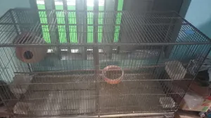 পাখির খাঁচা সাথে স্টিলের ট্রে