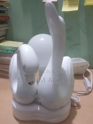 Duck Swan Lighting Showpiece