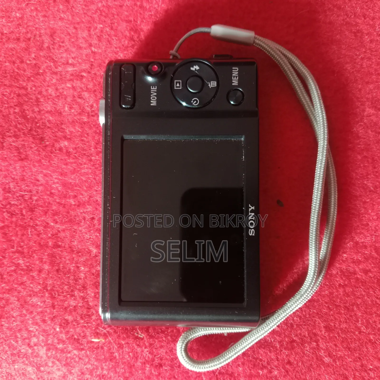 Cyber Shot Digital Camera