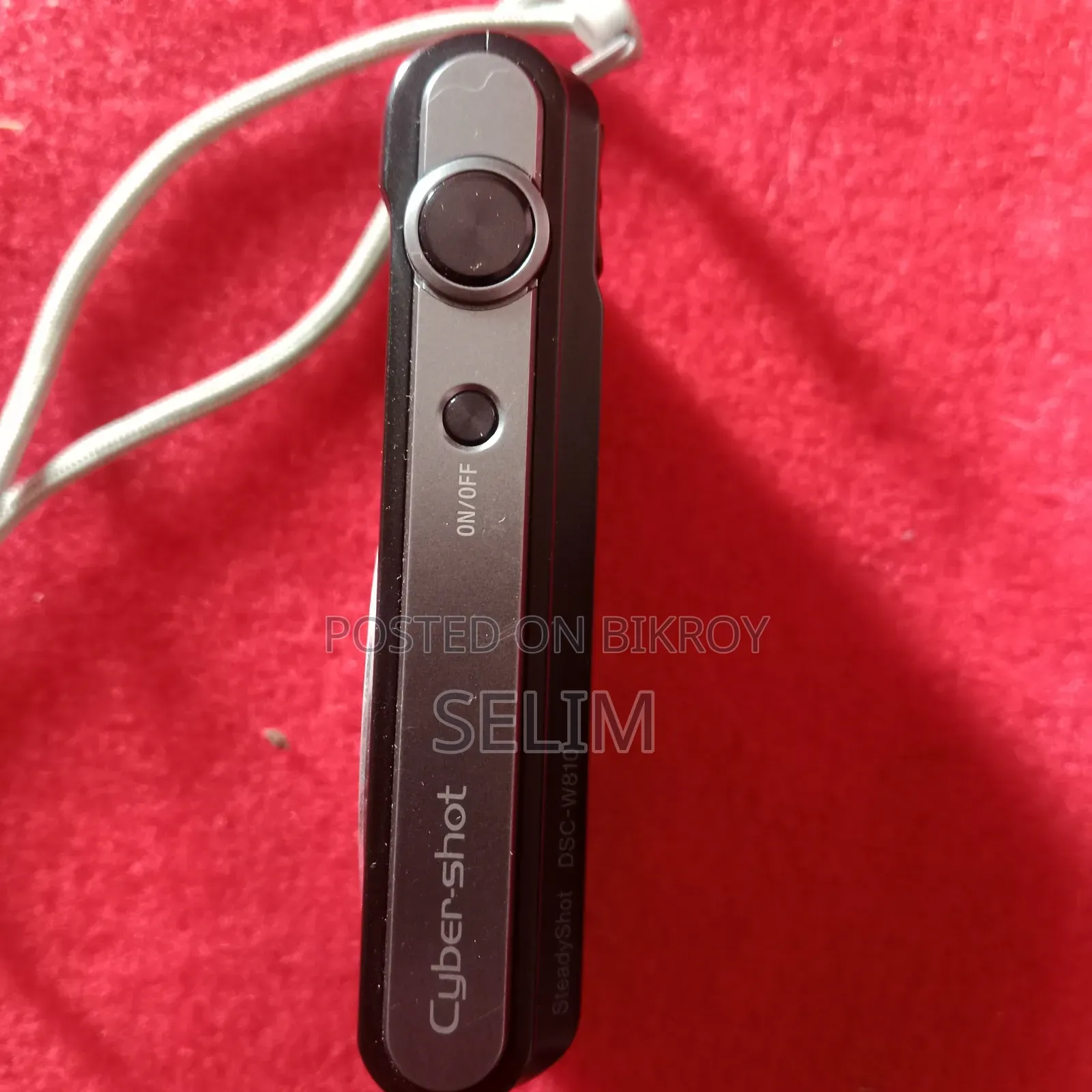 Cyber Shot Digital Camera