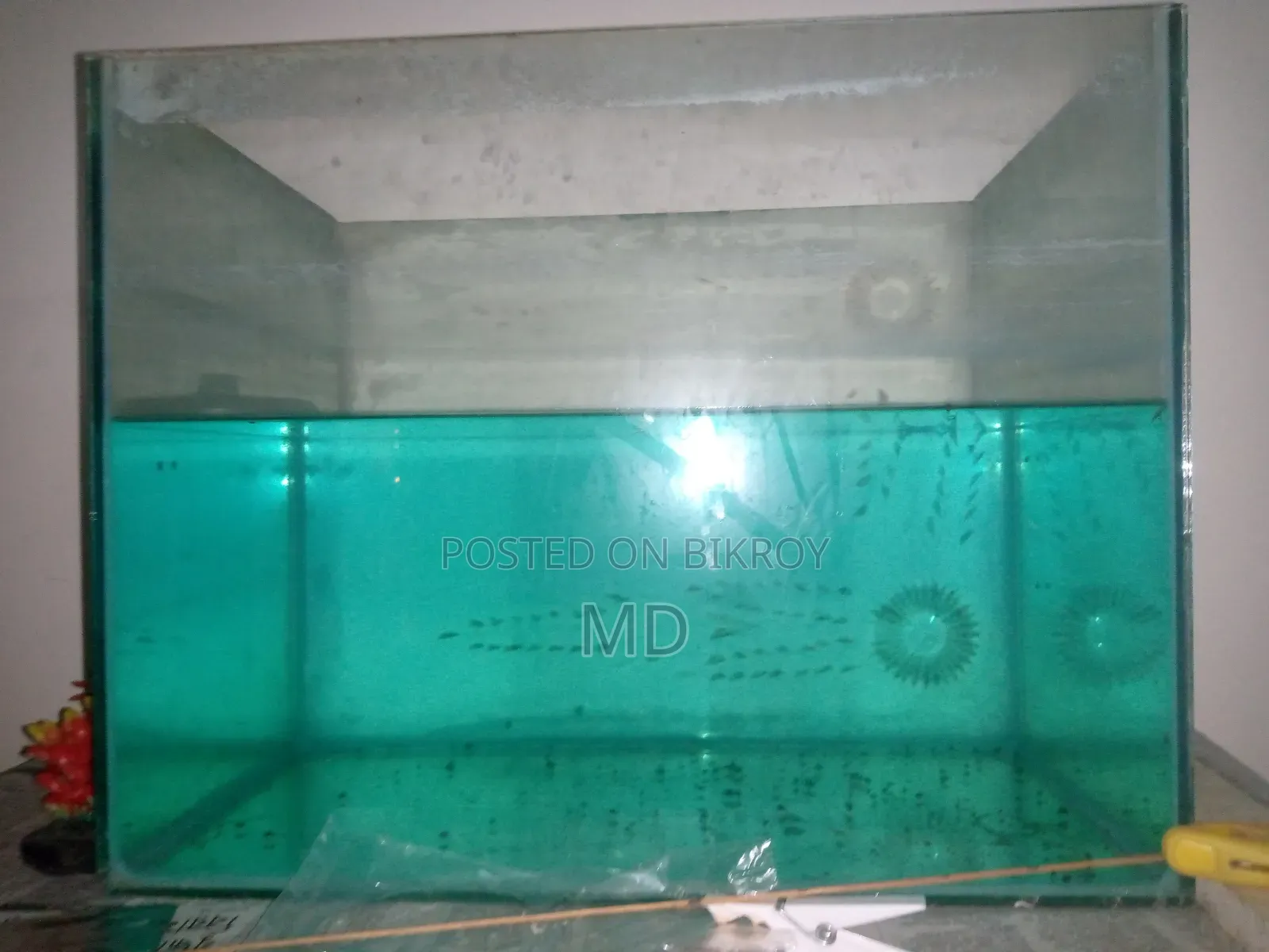 Aquarium 1.6 Feet or 18 Inches