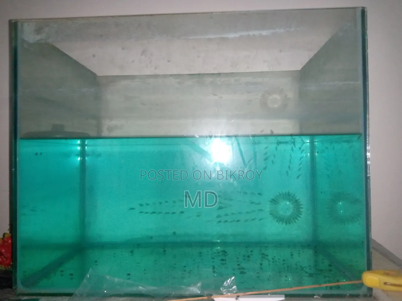 Aquarium 1.6 Feet or 18 Inches