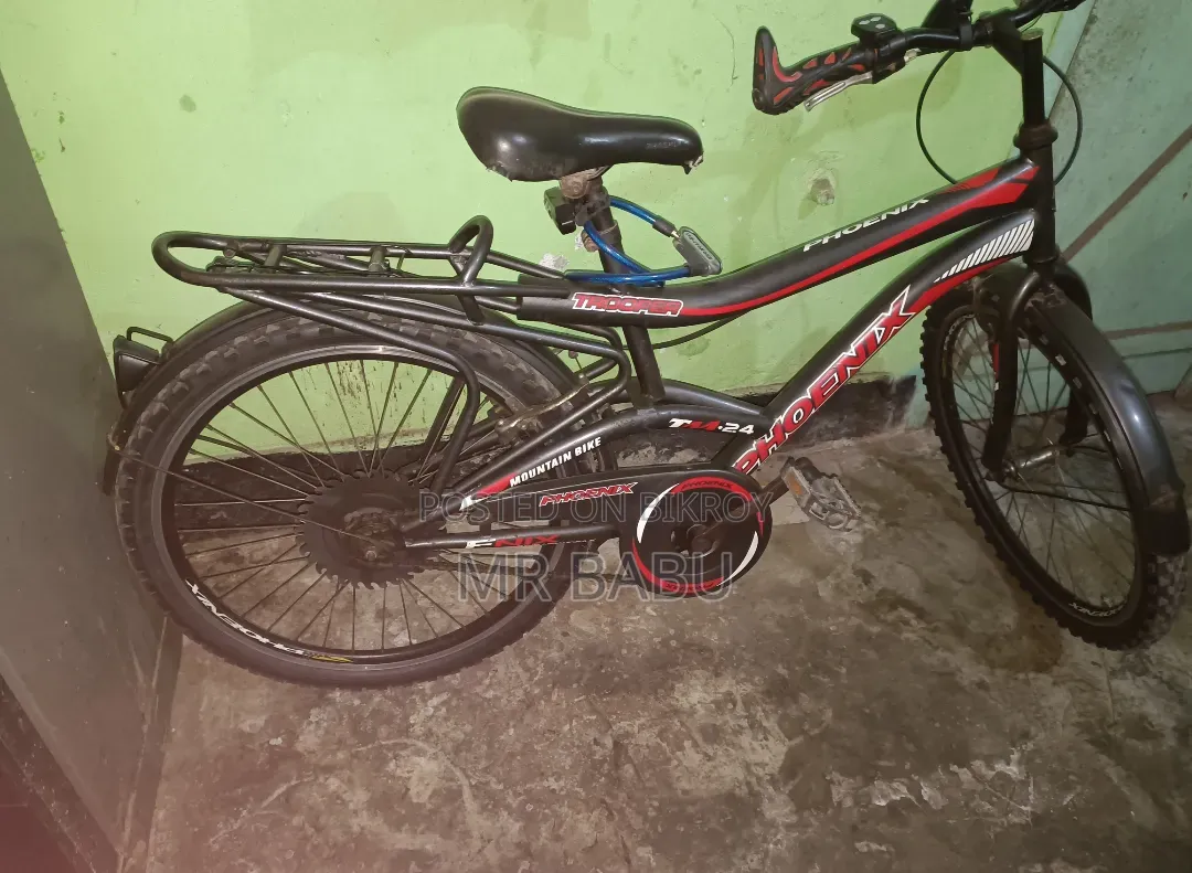 Phoenix 24-inch Bicycle for Sale