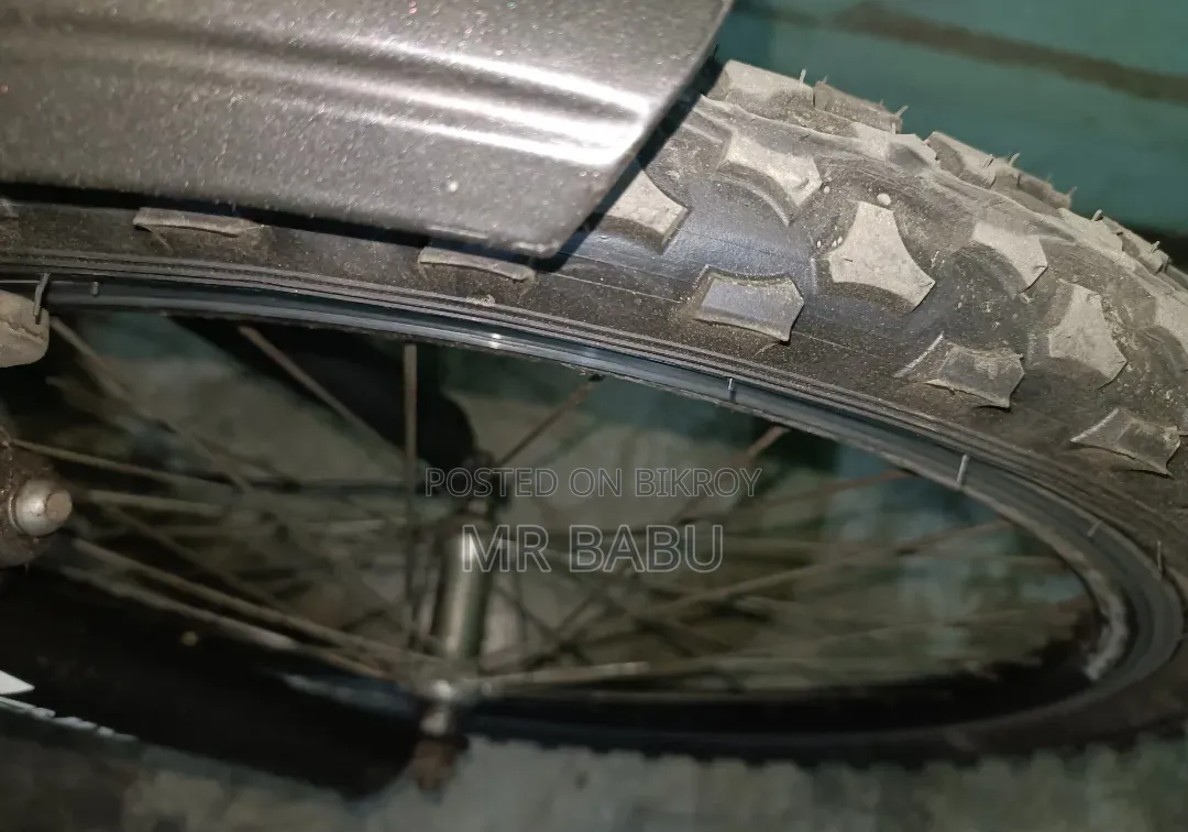 Phoenix 24-inch Bicycle for Sale