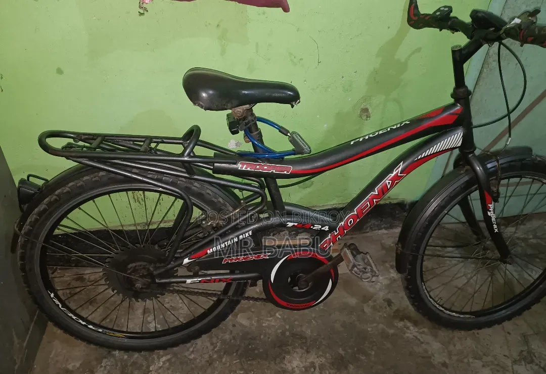 Phoenix 24-inch Bicycle for Sale