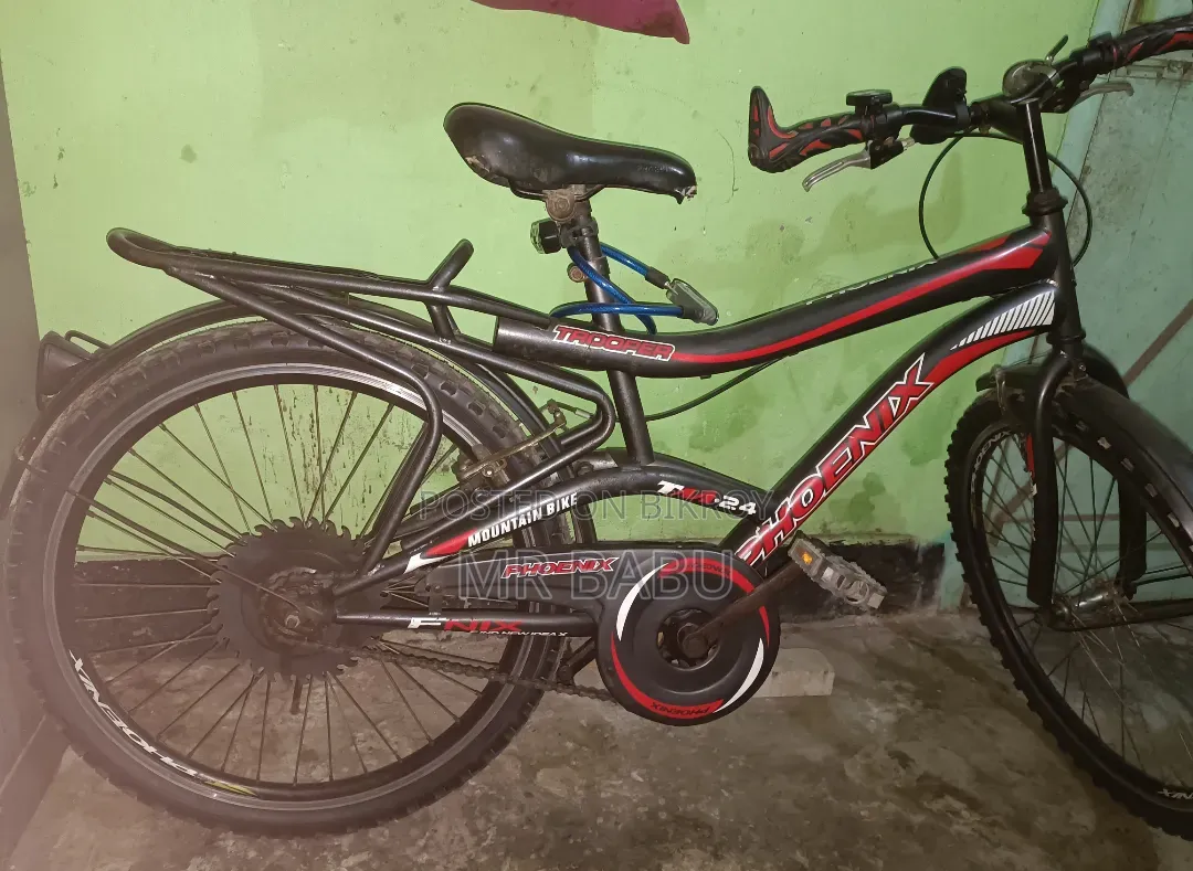 Phoenix 24-inch Bicycle for Sale