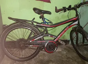 Phoenix 24-inch Bicycle for Sale