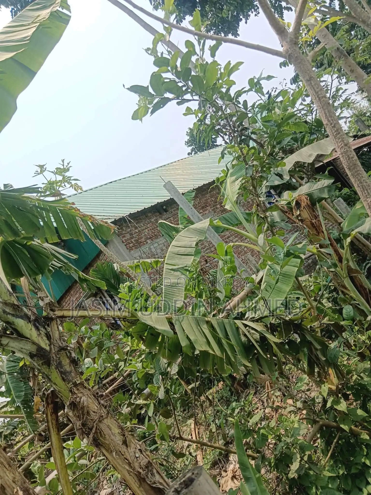Home and Land