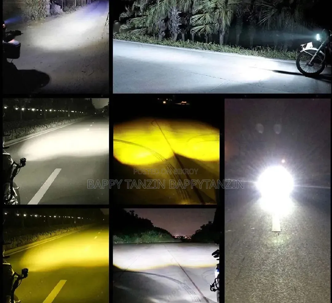 Fog Light