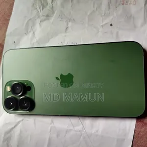 iPhone 13 Pro Max