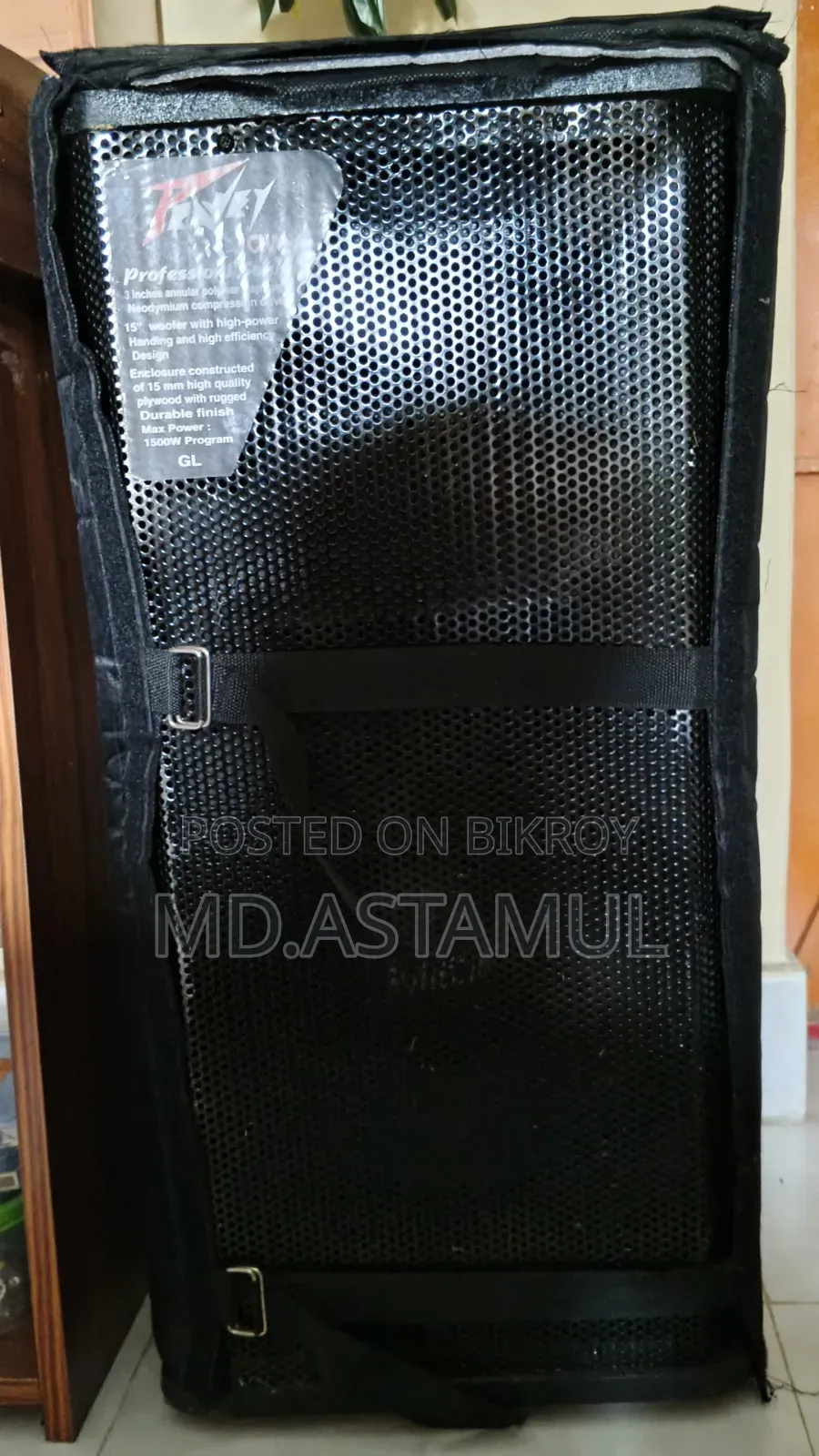 12" Speaker Sound System