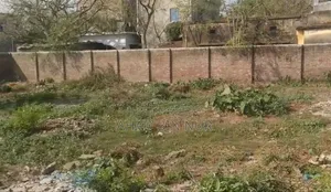 জরুরি প্রয়োজনে ১ বিঘা জমি বিক্রয়