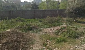 1 Bigha land for sale for urgent need