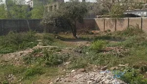1 Bigha land for sale for urgent need