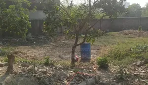 1 Bigha land for sale for urgent need
