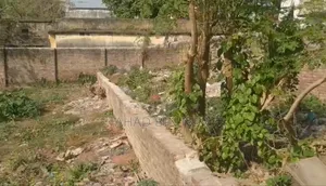 জরুরি প্রয়োজনে ১ বিঘা জমি বিক্রয়