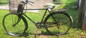 Bicycle for Sale