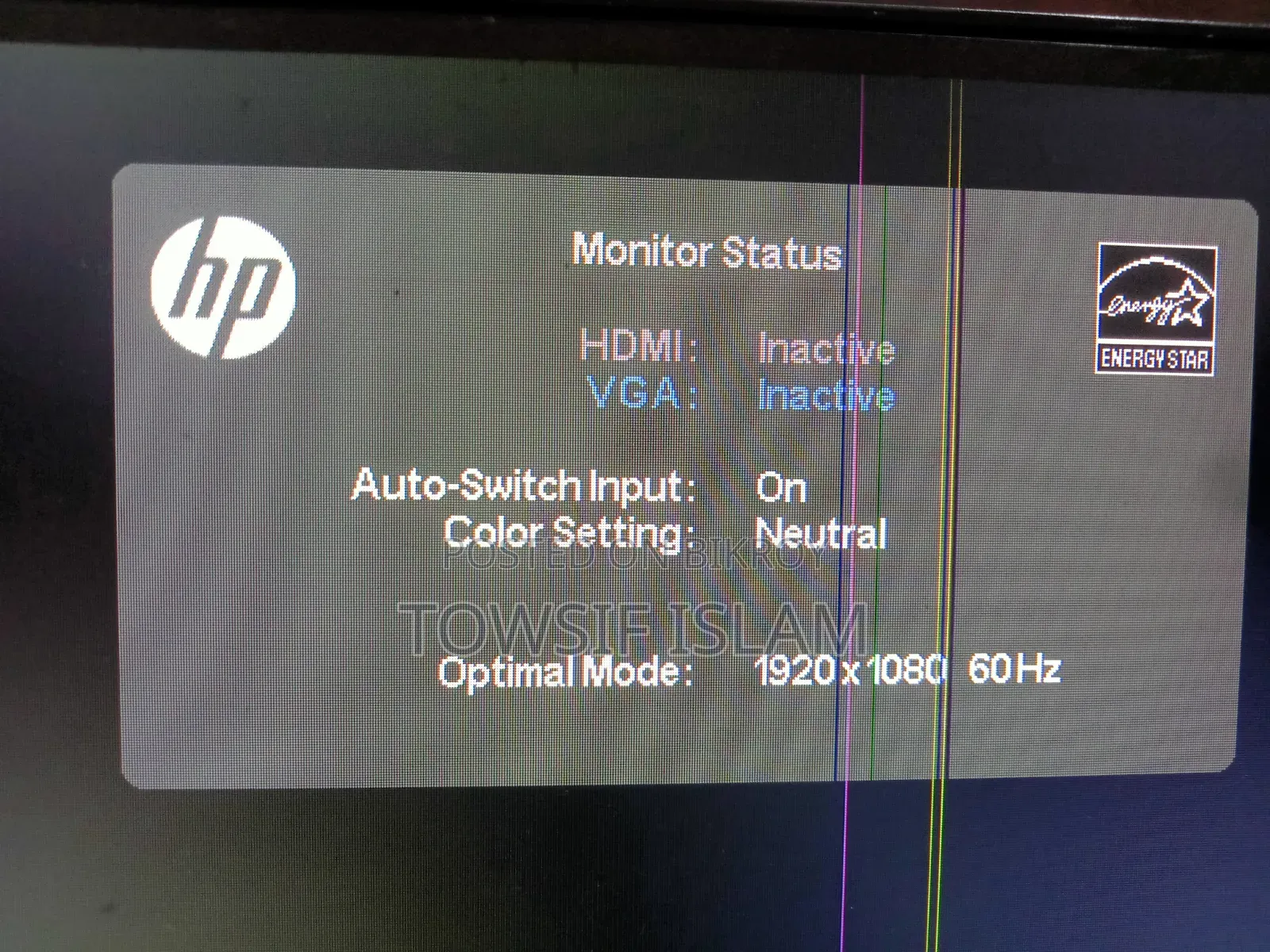 HP 22.5" Bodalas Monitor