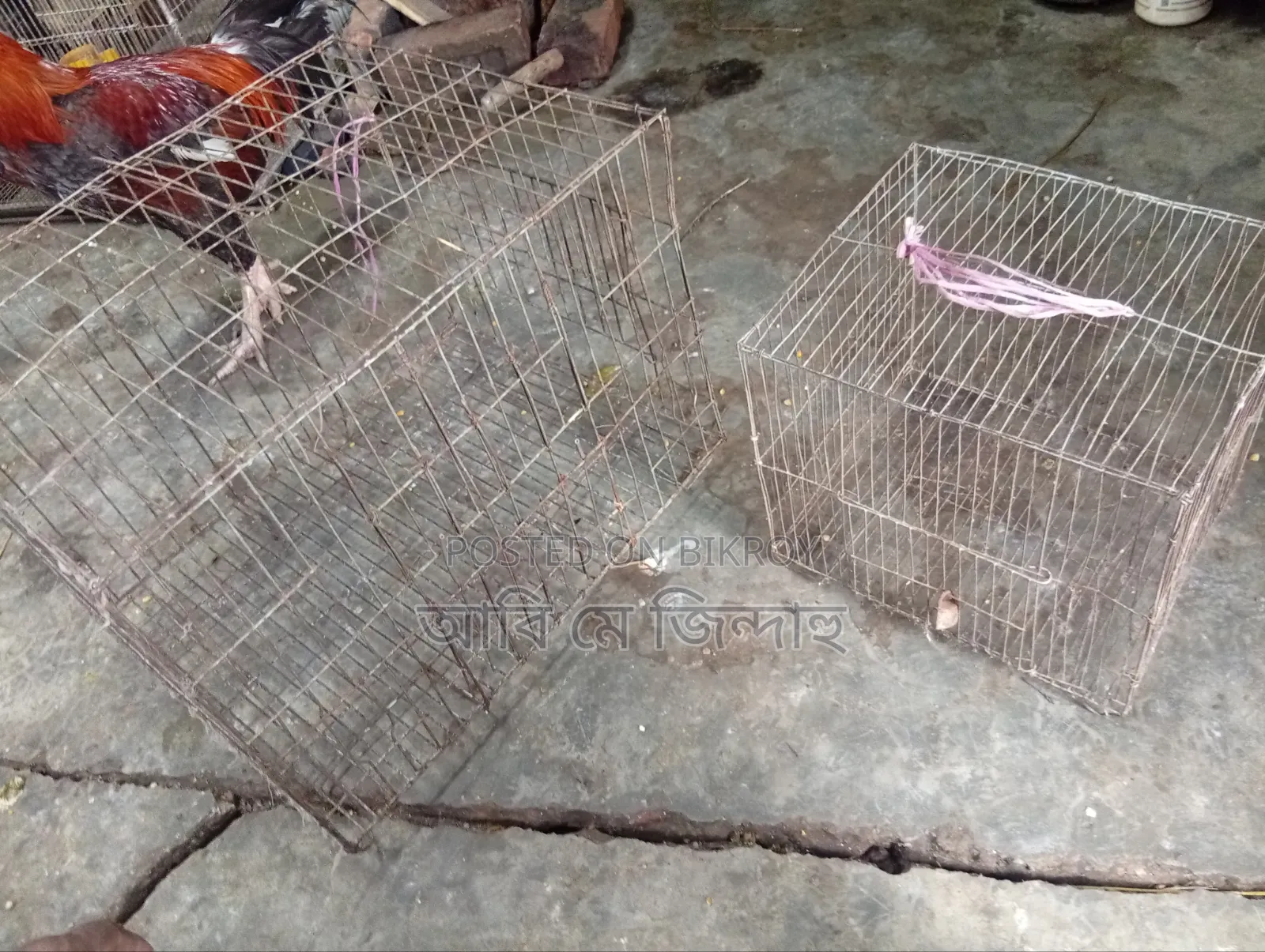 ২টি খাঁচা১৮/২০ ও ১০/১২