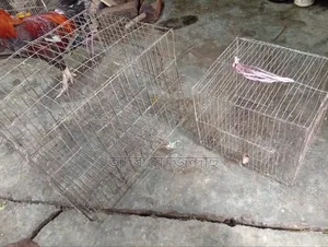 ২টি খাঁচা১৮/২০ ও ১০/১২