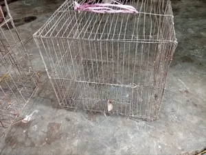 ২টি খাঁচা১৮/২০ ও ১০/১২