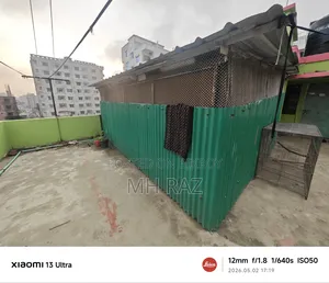 পাখির বড় ঘর