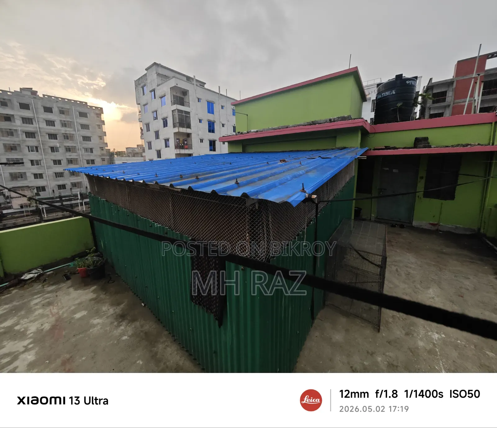 পাখির বড় ঘর