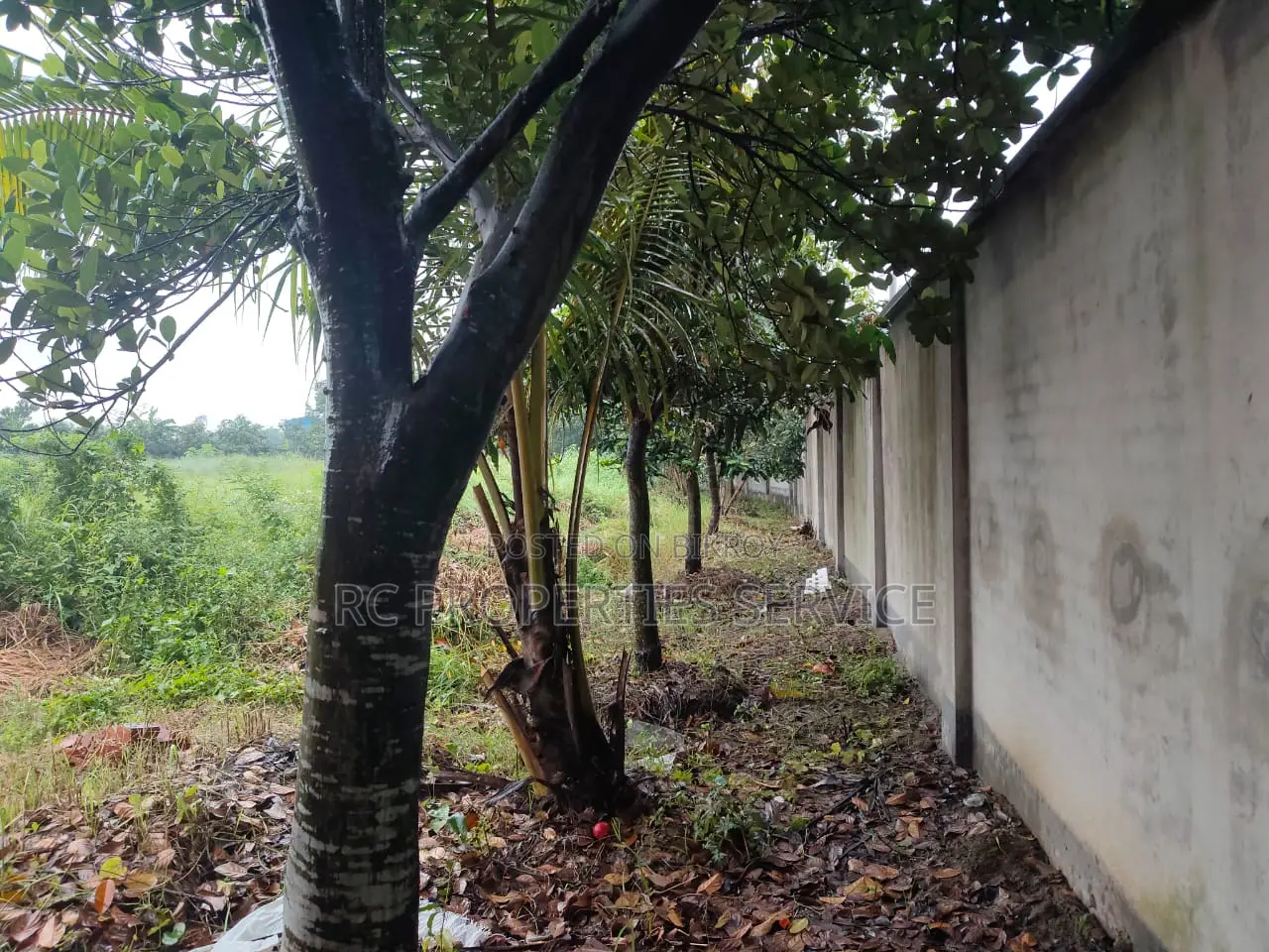 7 Bigha Land Rent