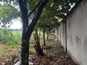 7 Bigha Land Rent