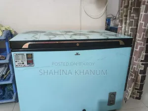 ডিপ ফ্রিজ