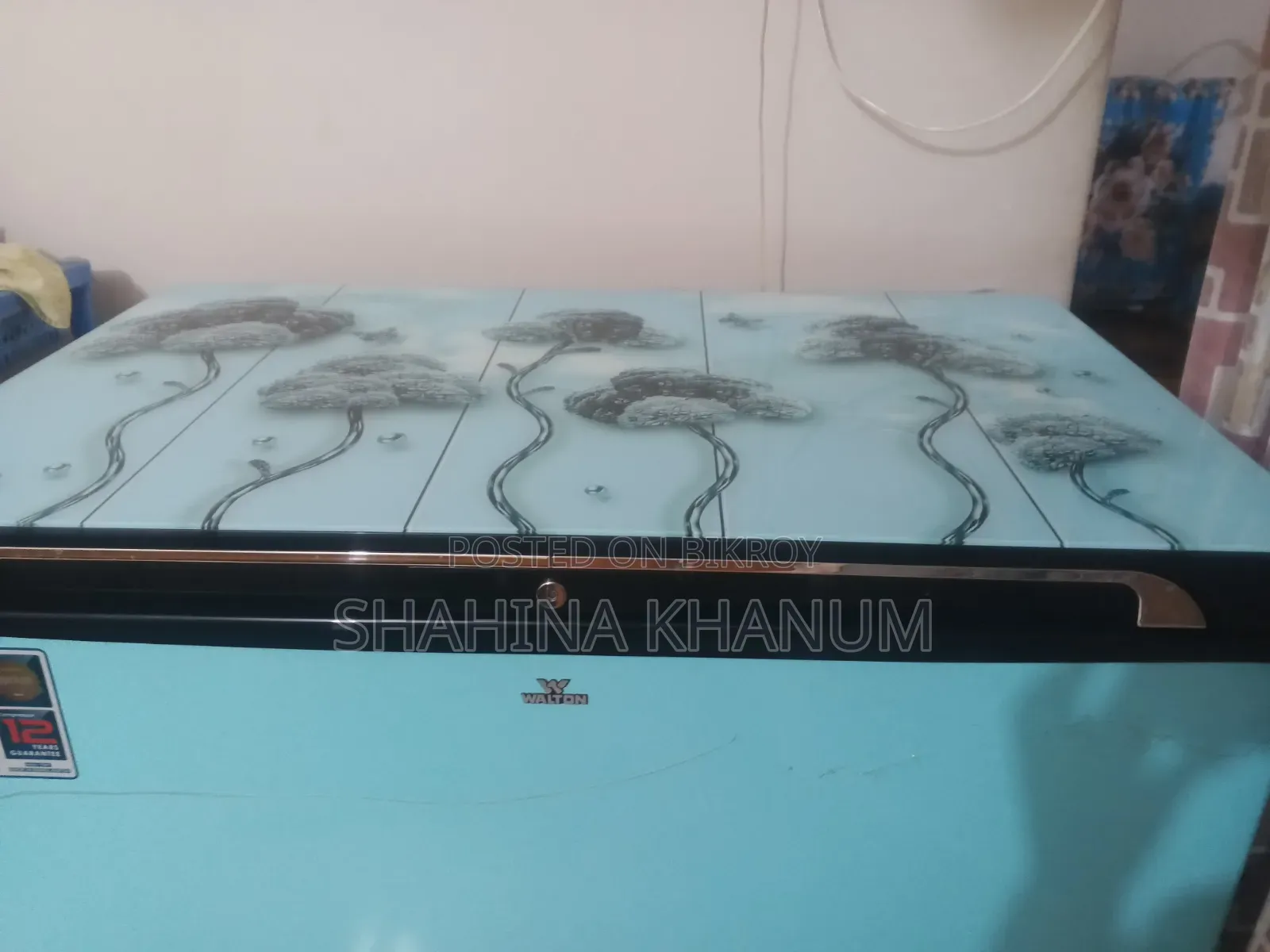 ডিপ ফ্রিজ